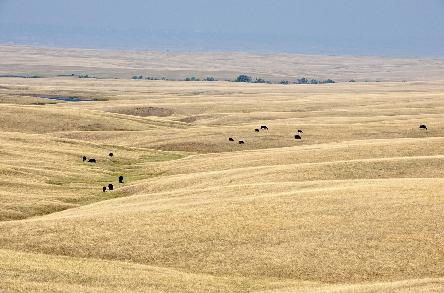 Pastoral Interlude II