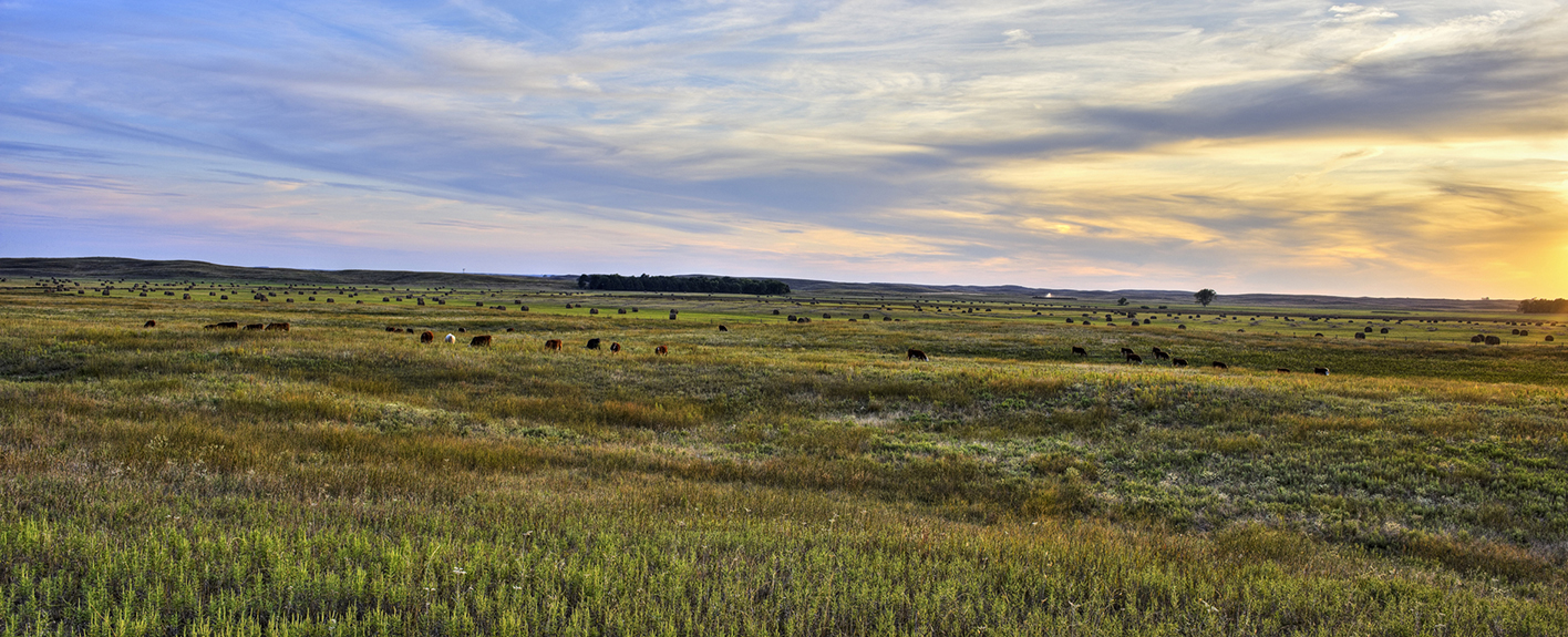 Pastoral Moment