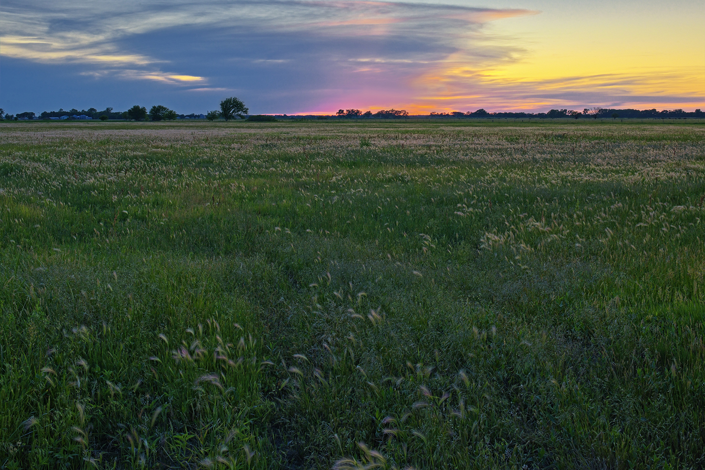 Pasture Dawn