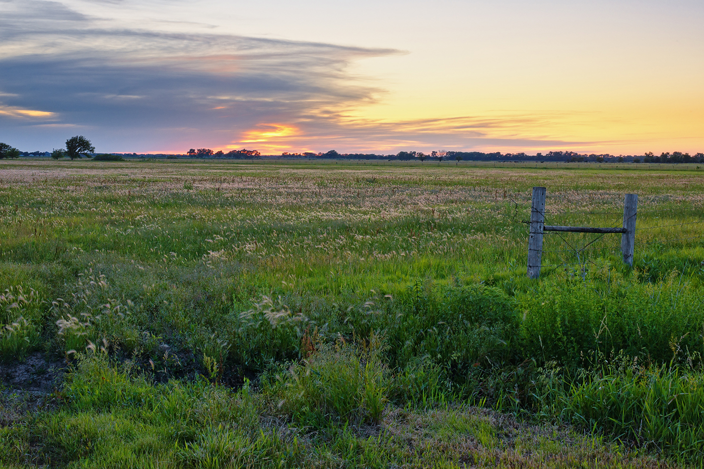 Pasture Dawn II