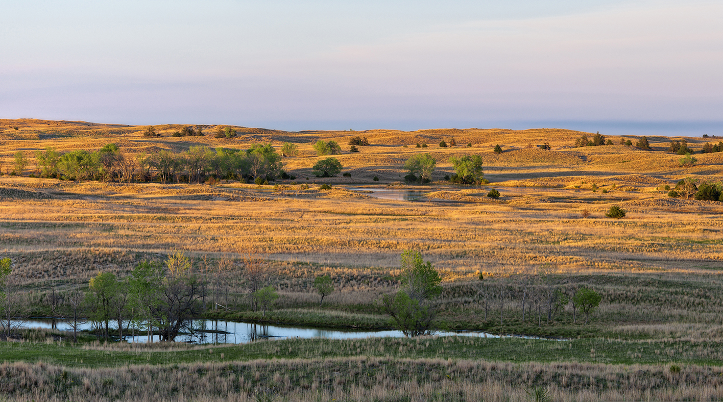 Pasture Highlights