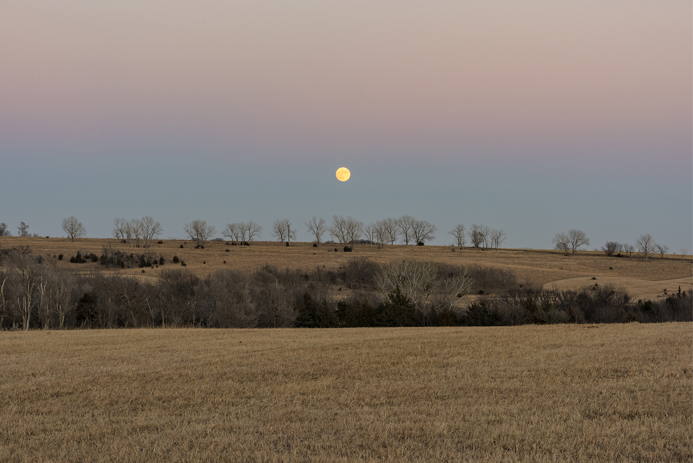 Pasture Moonrise