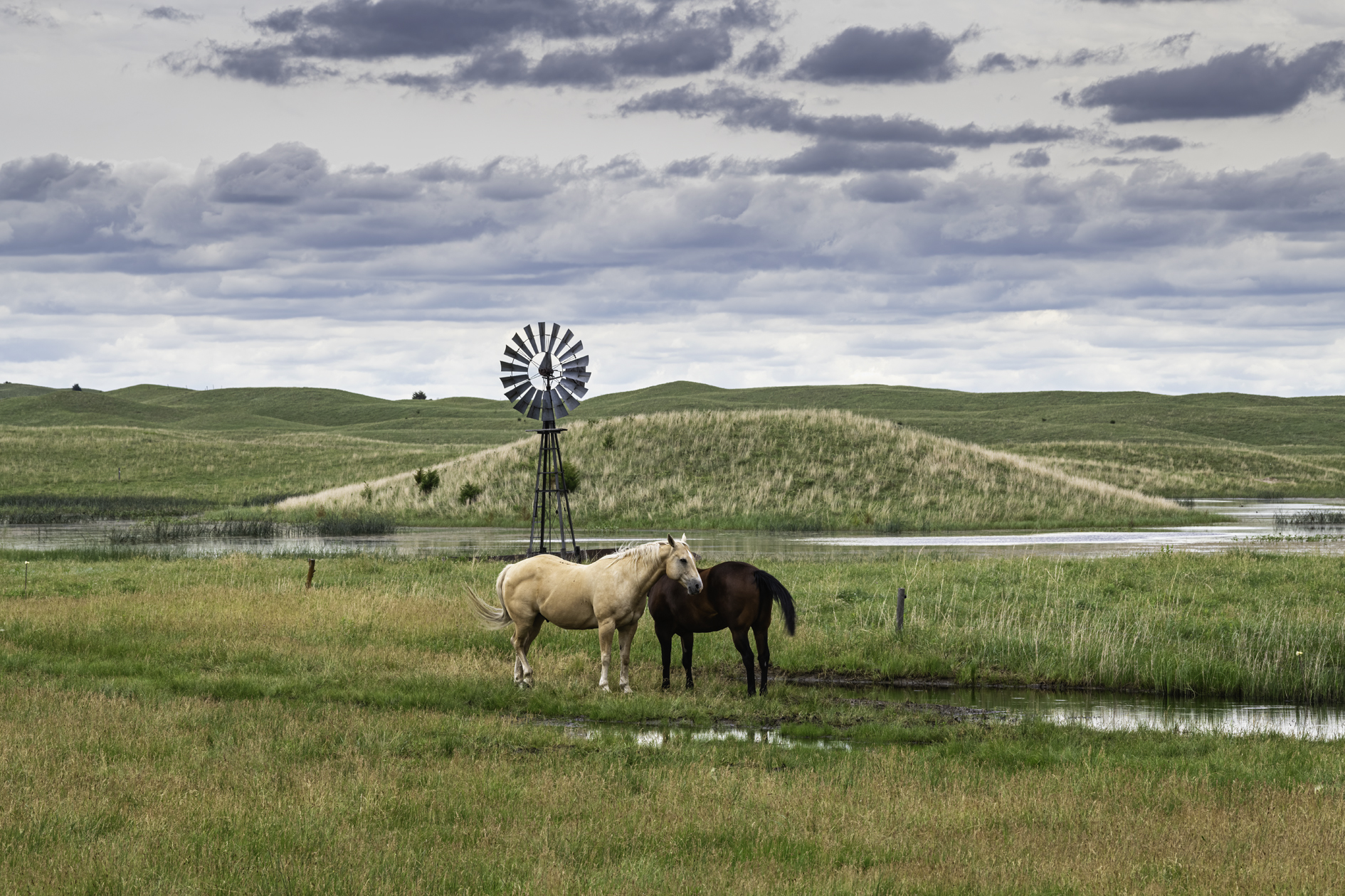 Pasture Pals