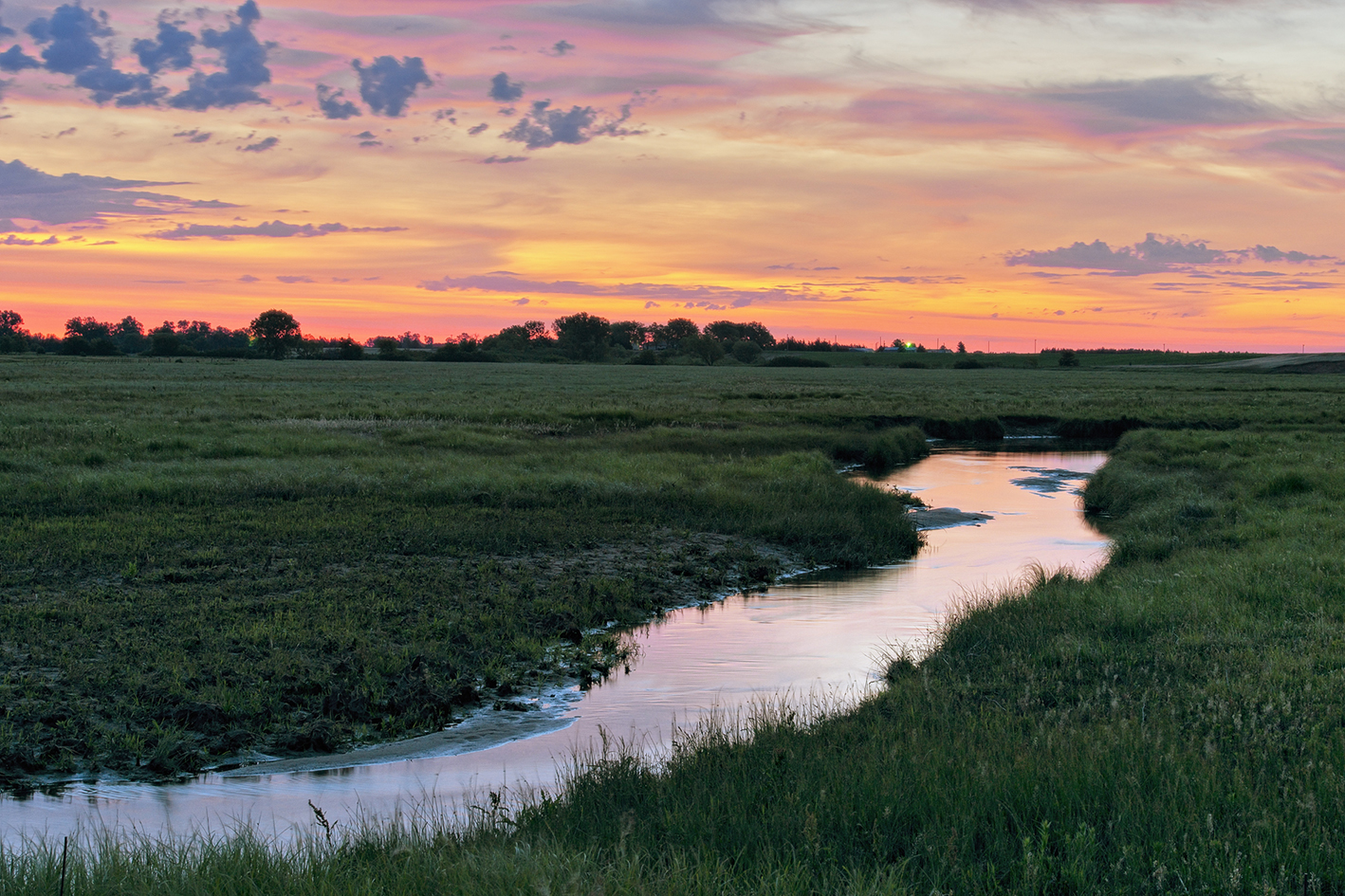 Pasture Reflections