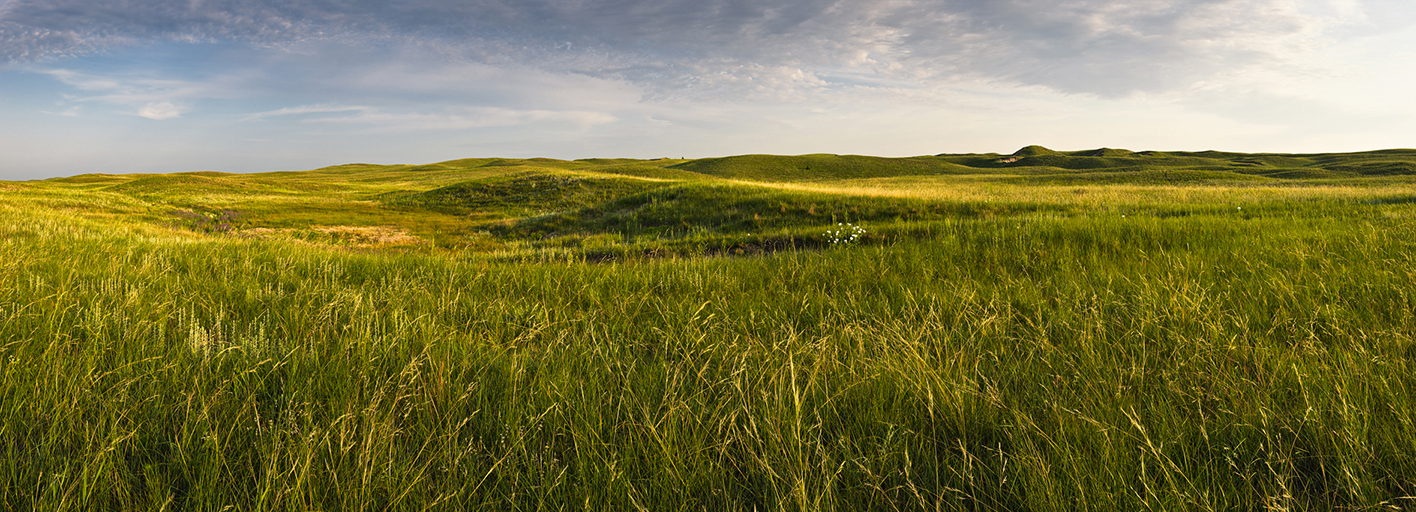 Pasture Revival