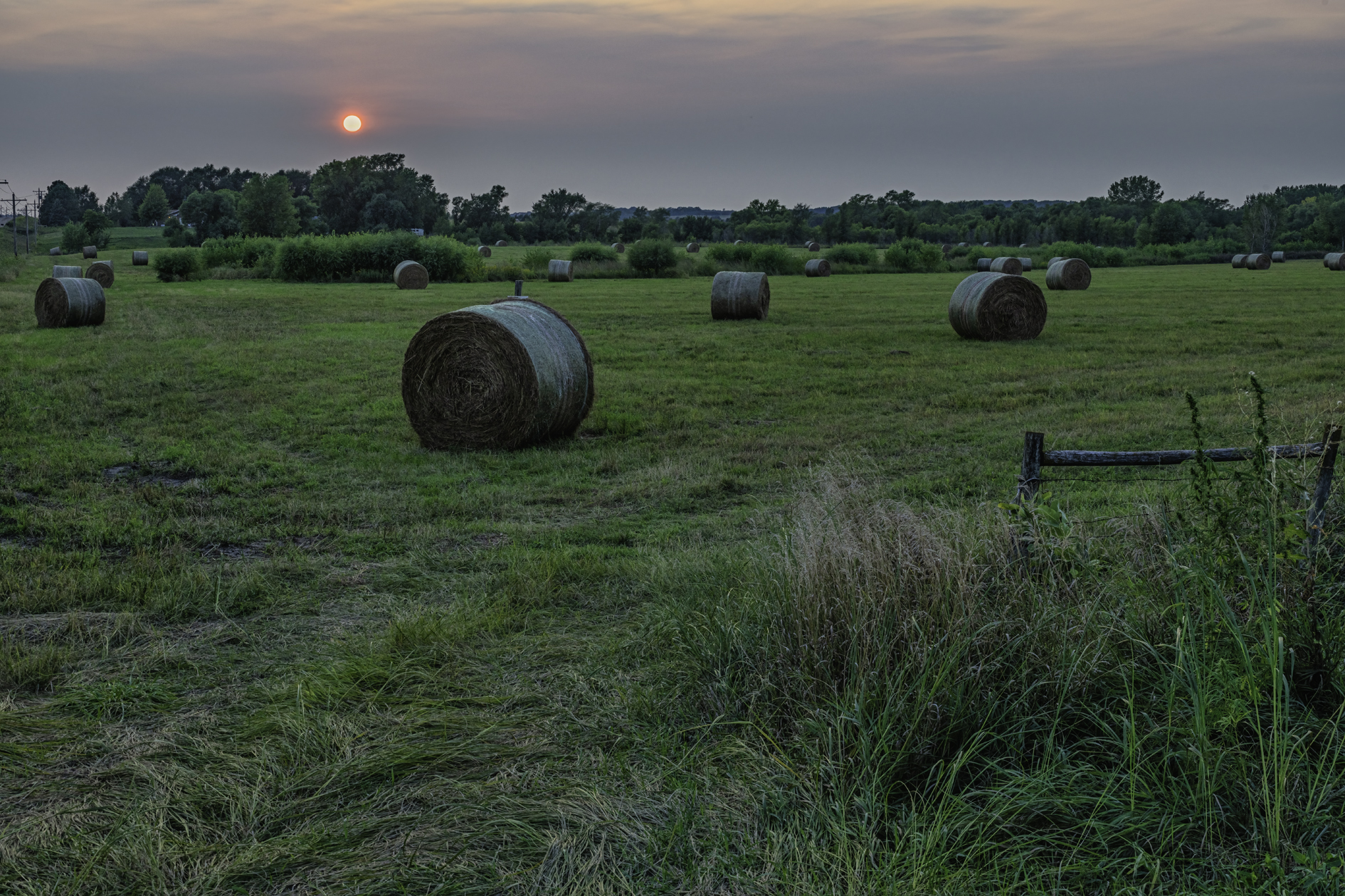 Pierce County Evening