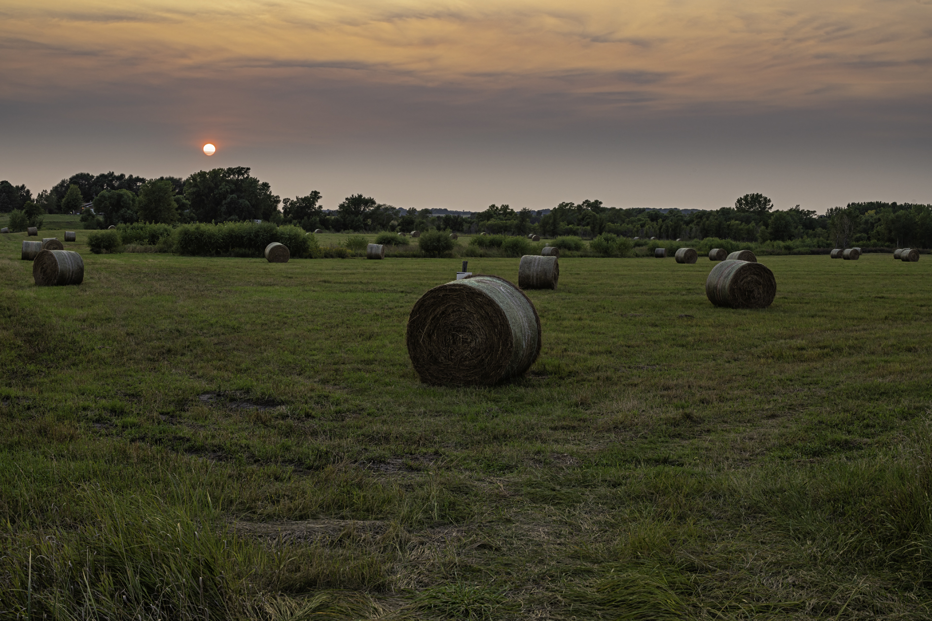 Pierce County Evening II