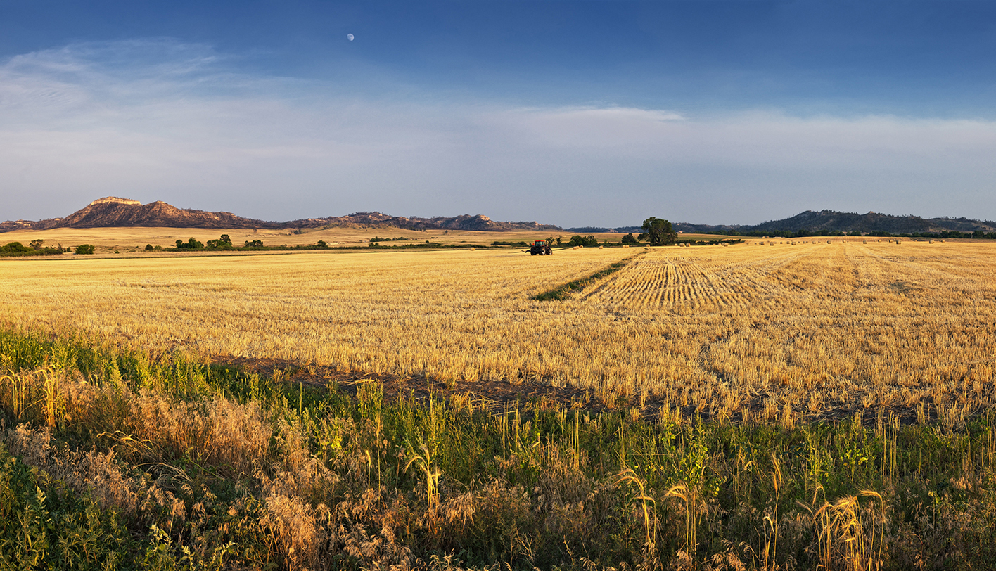 Pine Ridge Moon