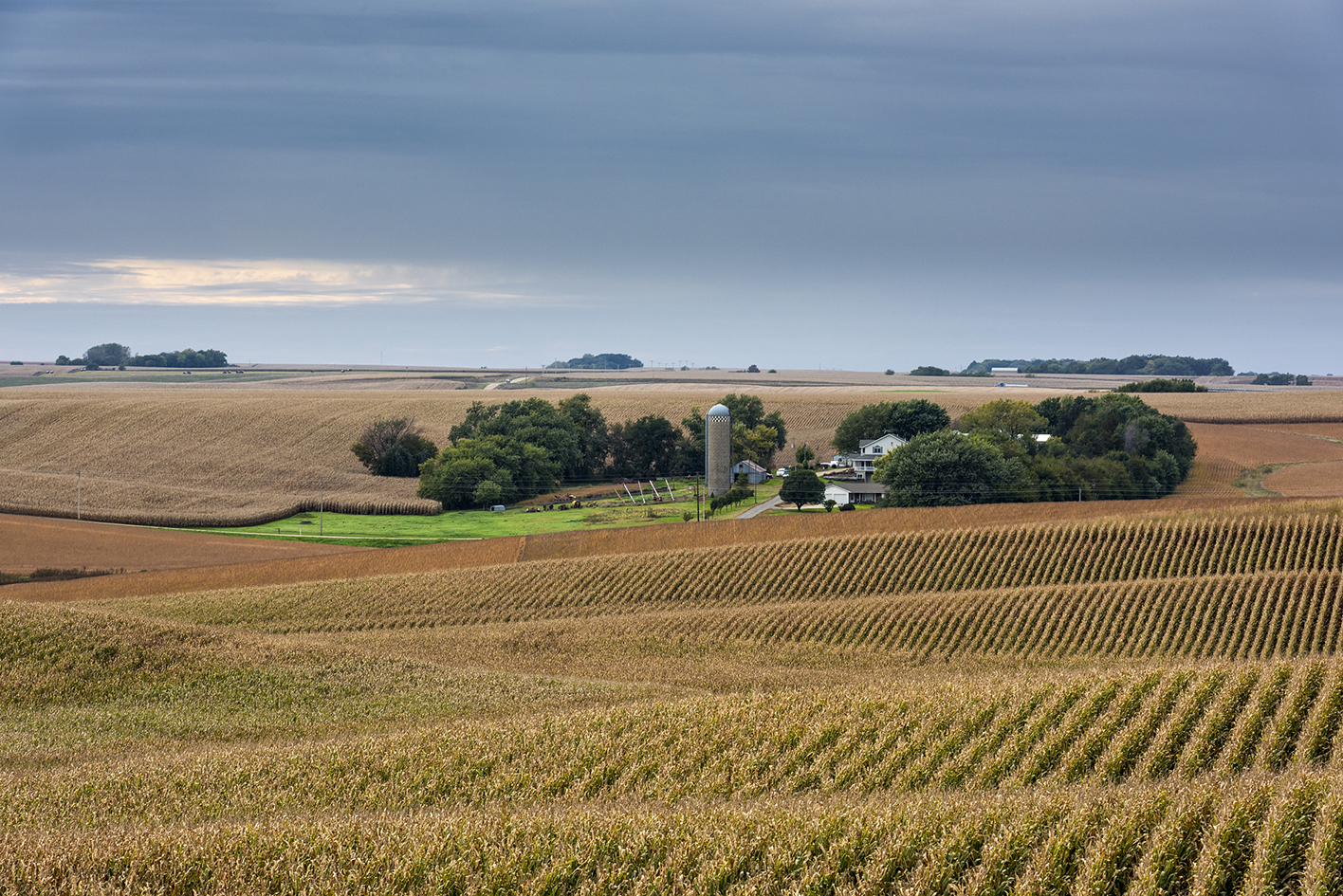 Platte County Evening II