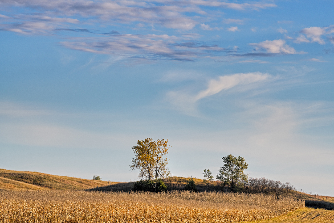 Platte Valley Autumn