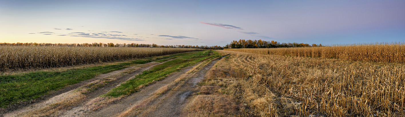 Platte Valley Autumn IV