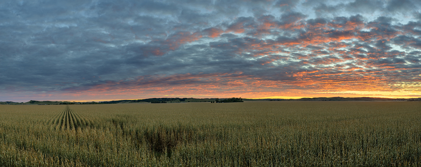 Platte Valley Evening