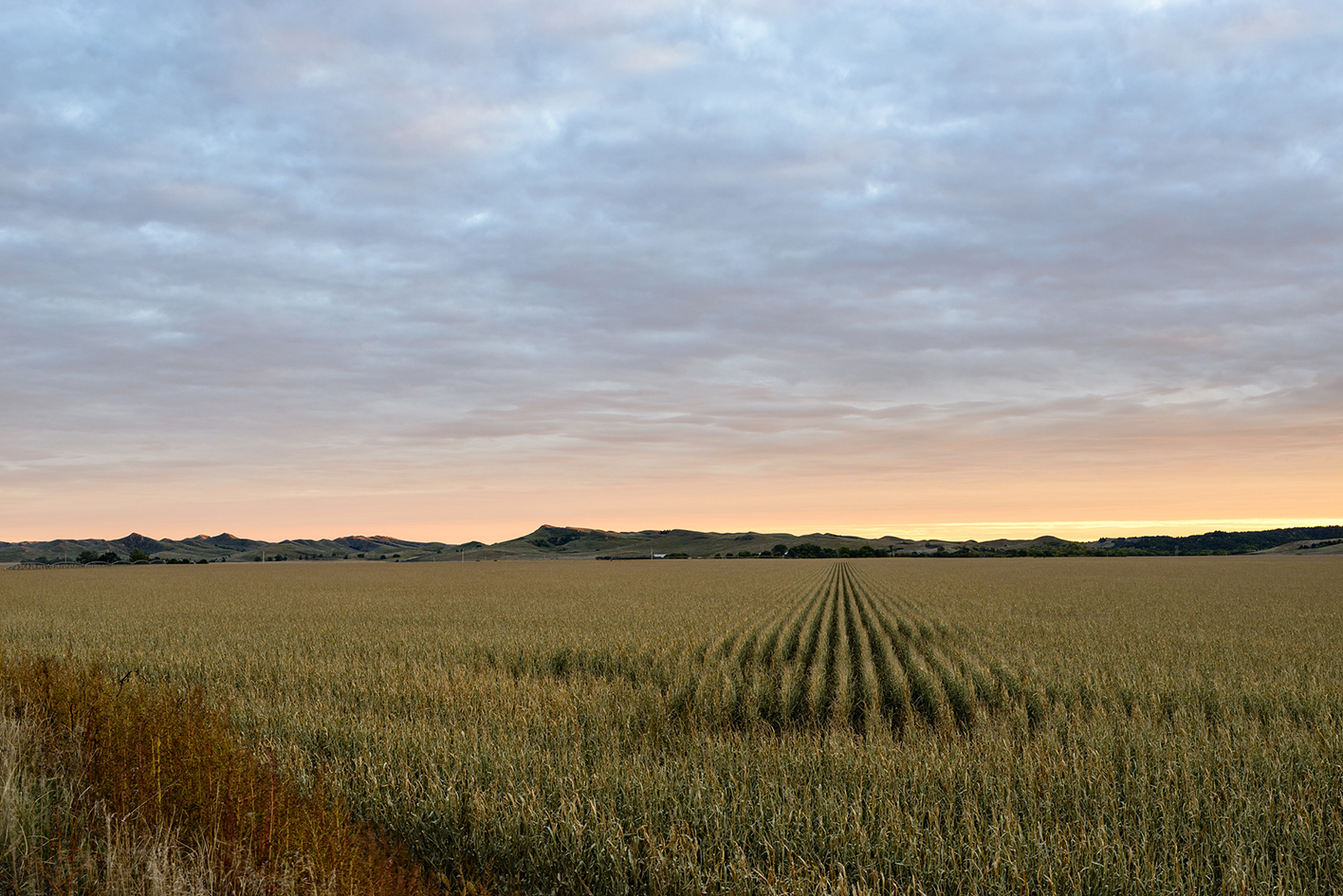 Platte Valley Evening II