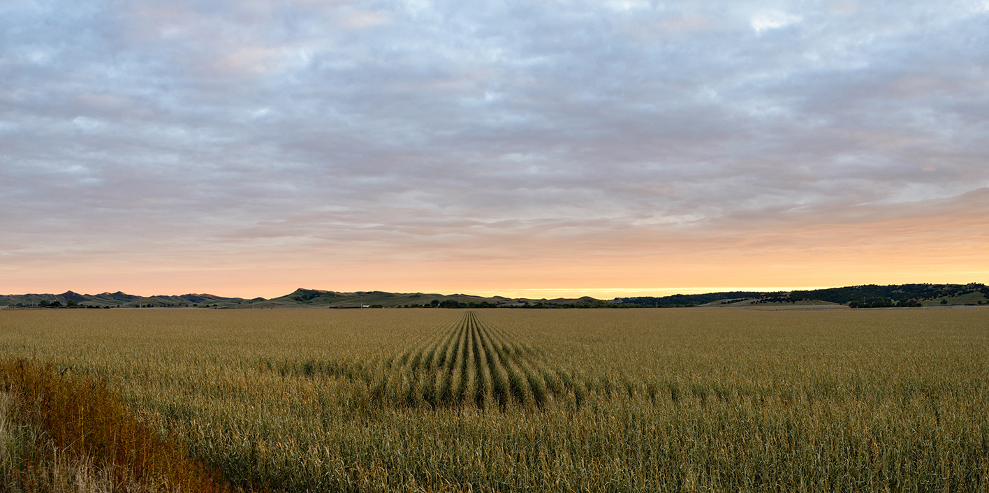 Platte Valley Evening IV