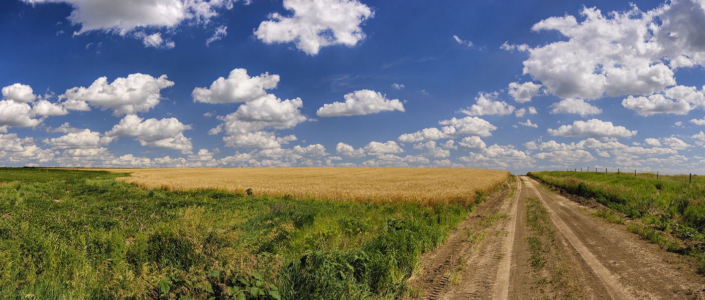 Prairie Drifters II