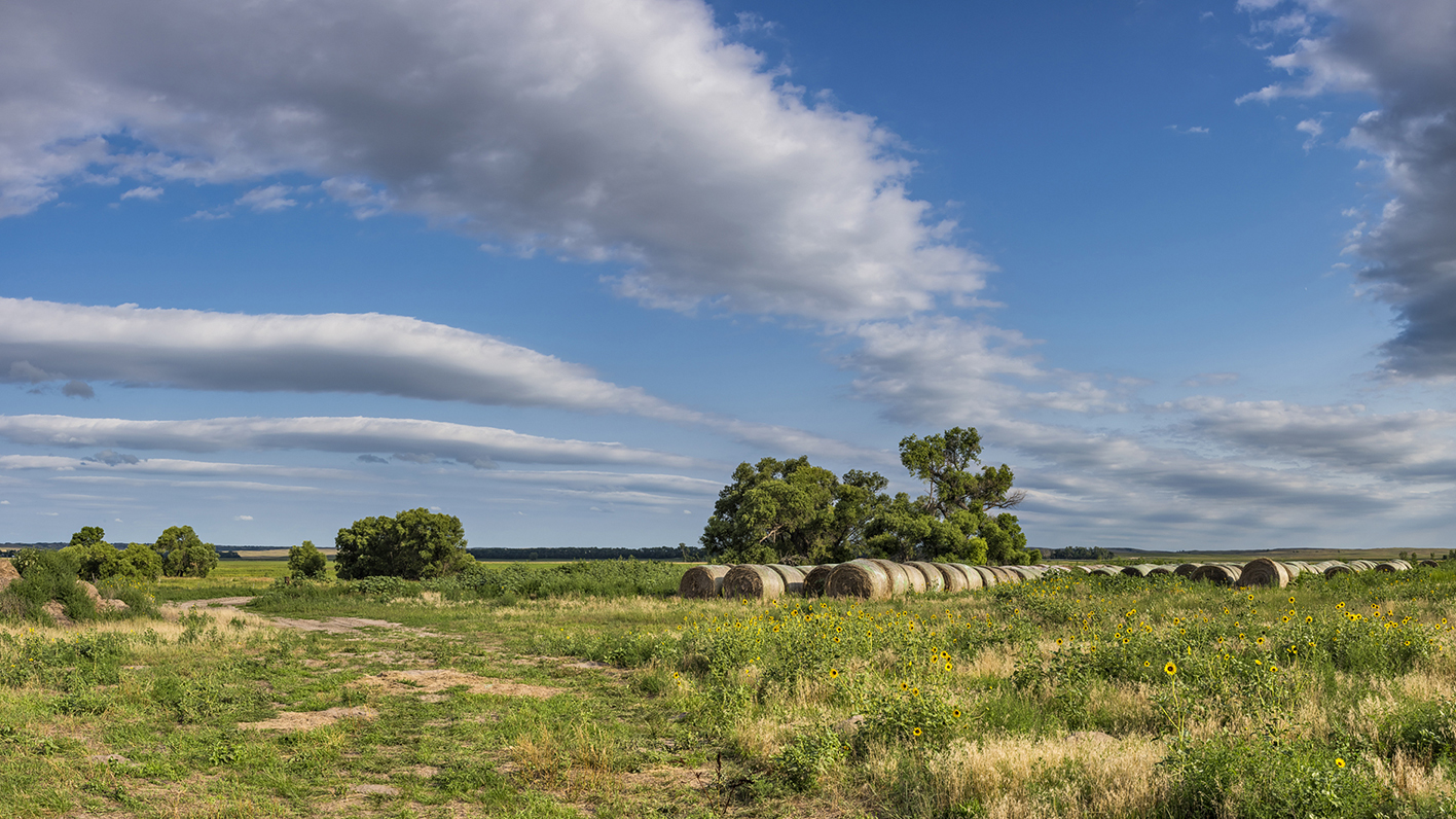 Prairie Evenings