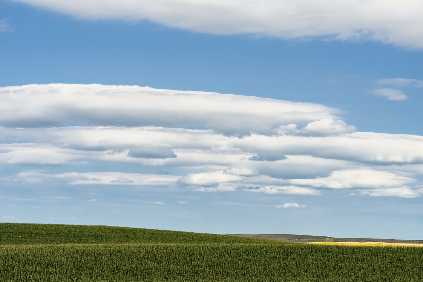 Prairie Evenings III