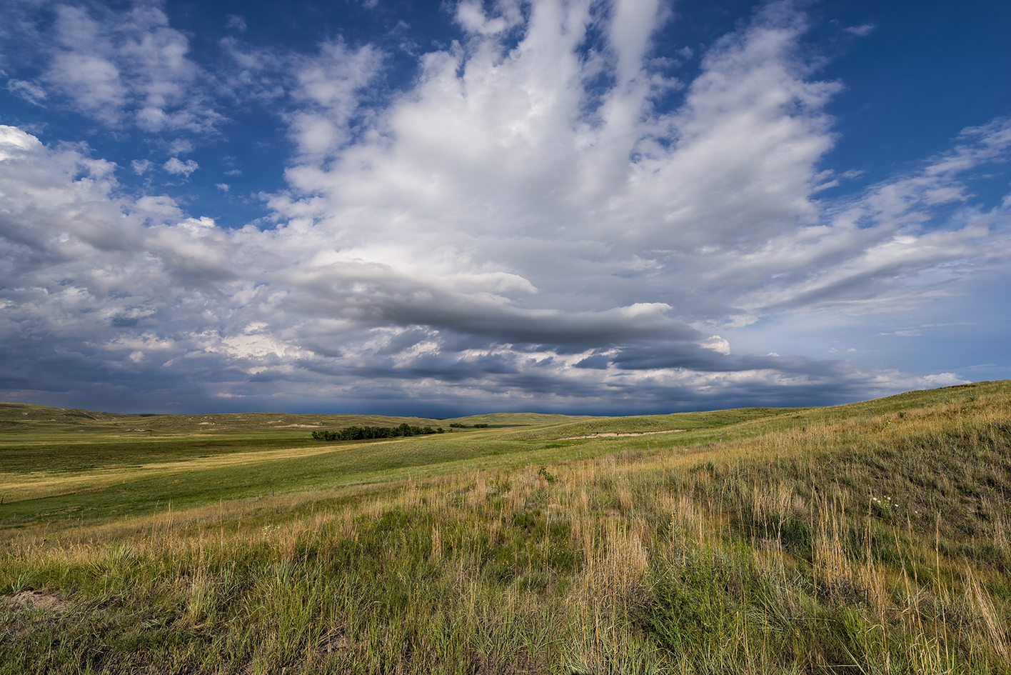 Prairie Evenings IV