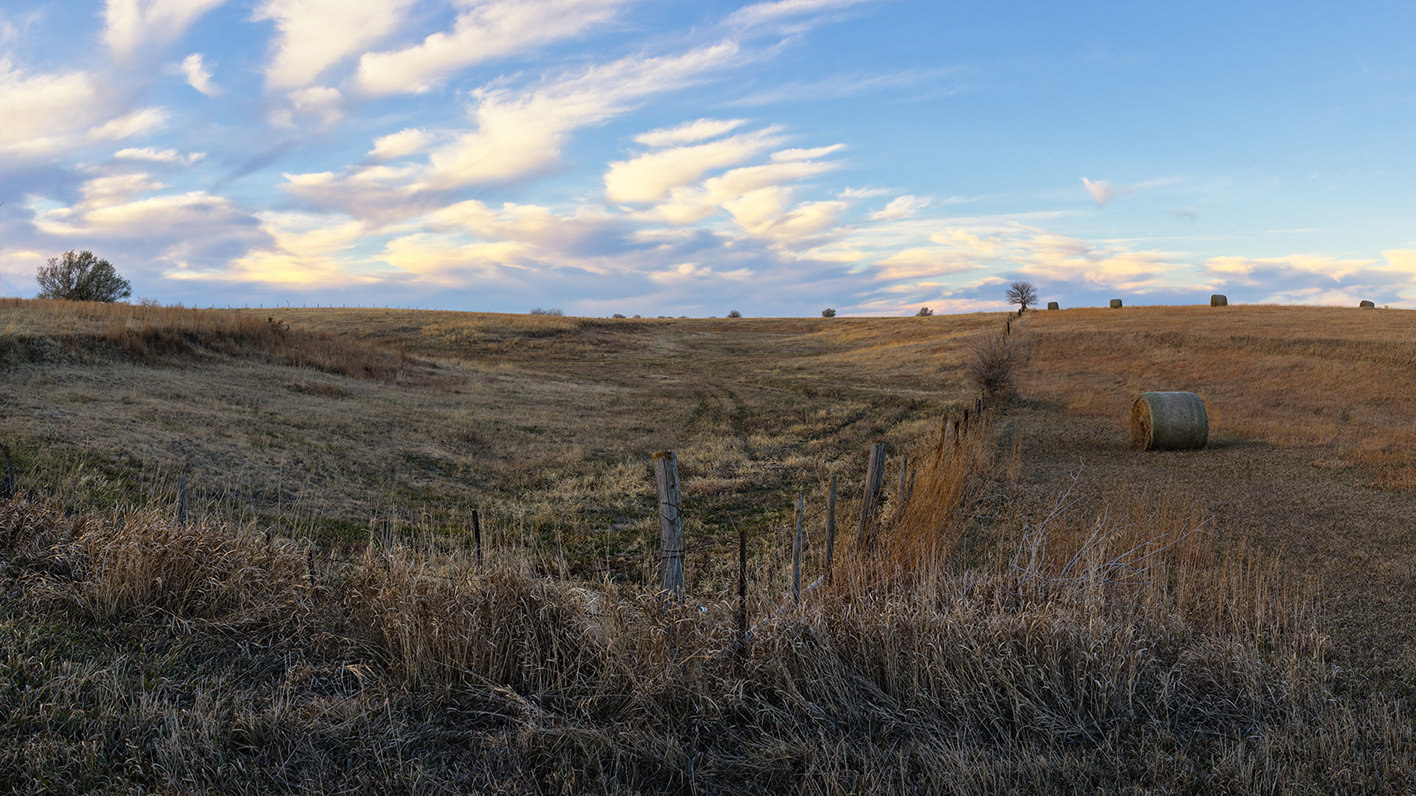 Prairie Fall