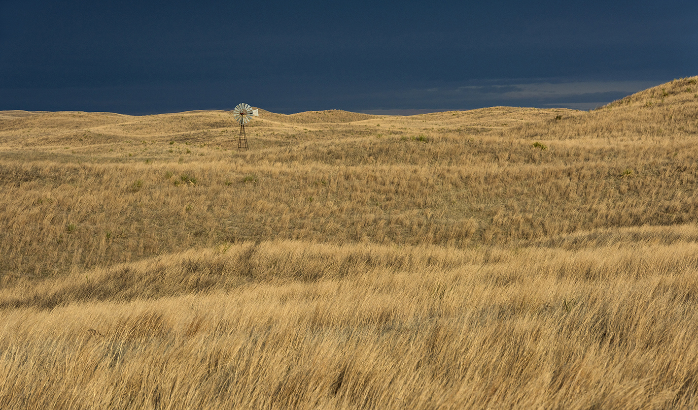 Prairie Oasis