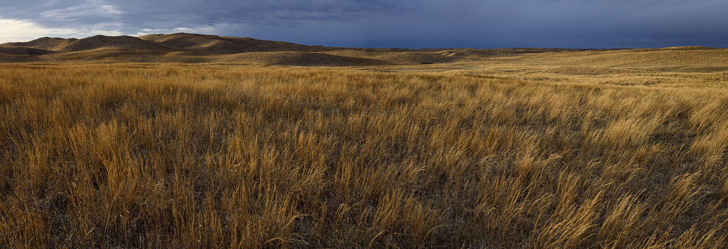 Prairie Shadows II