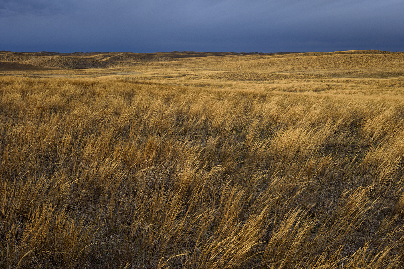 Prairie Shadows III