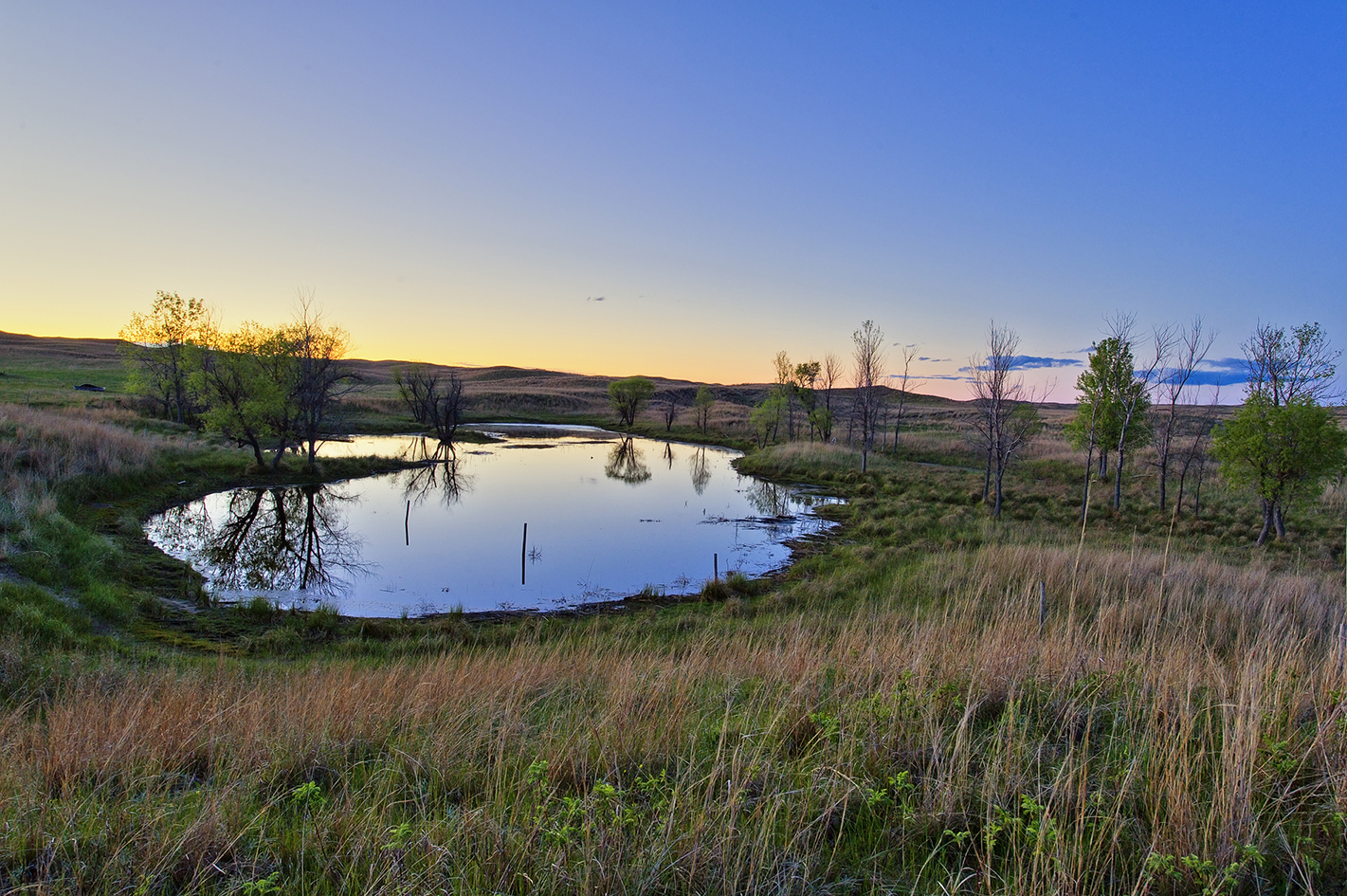 Prairie Spring