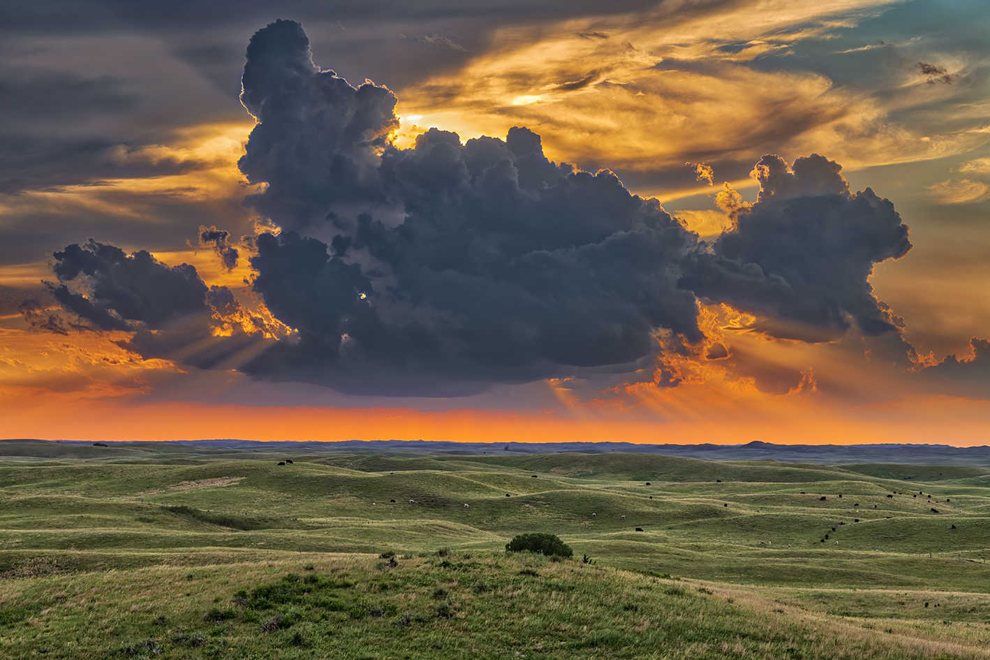 Prairie Sunshade