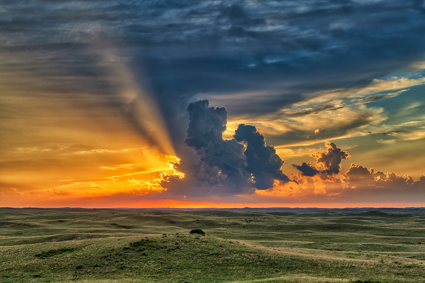 Prairie Sunshade II