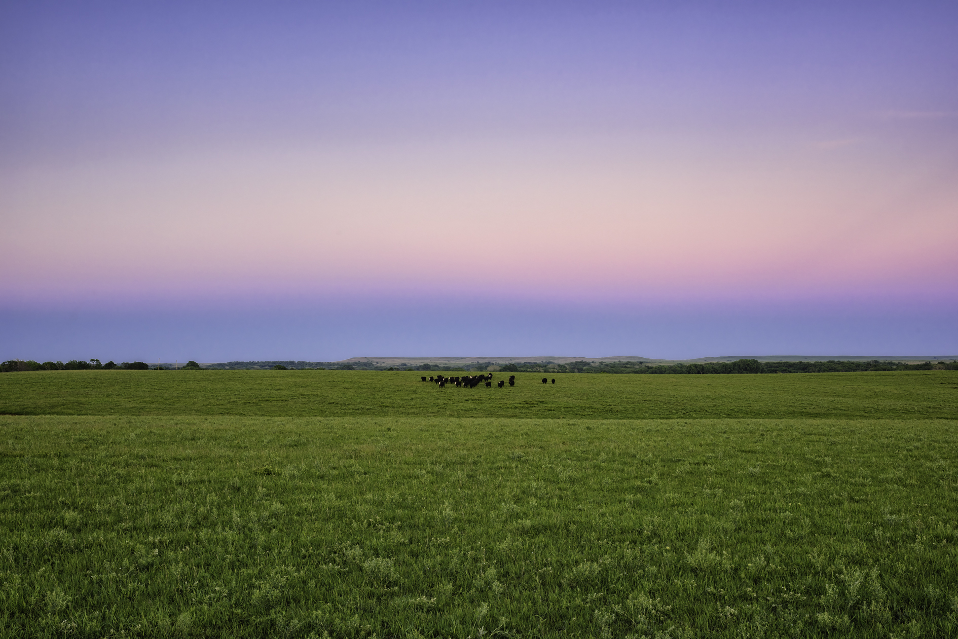 Prairie Supper Club