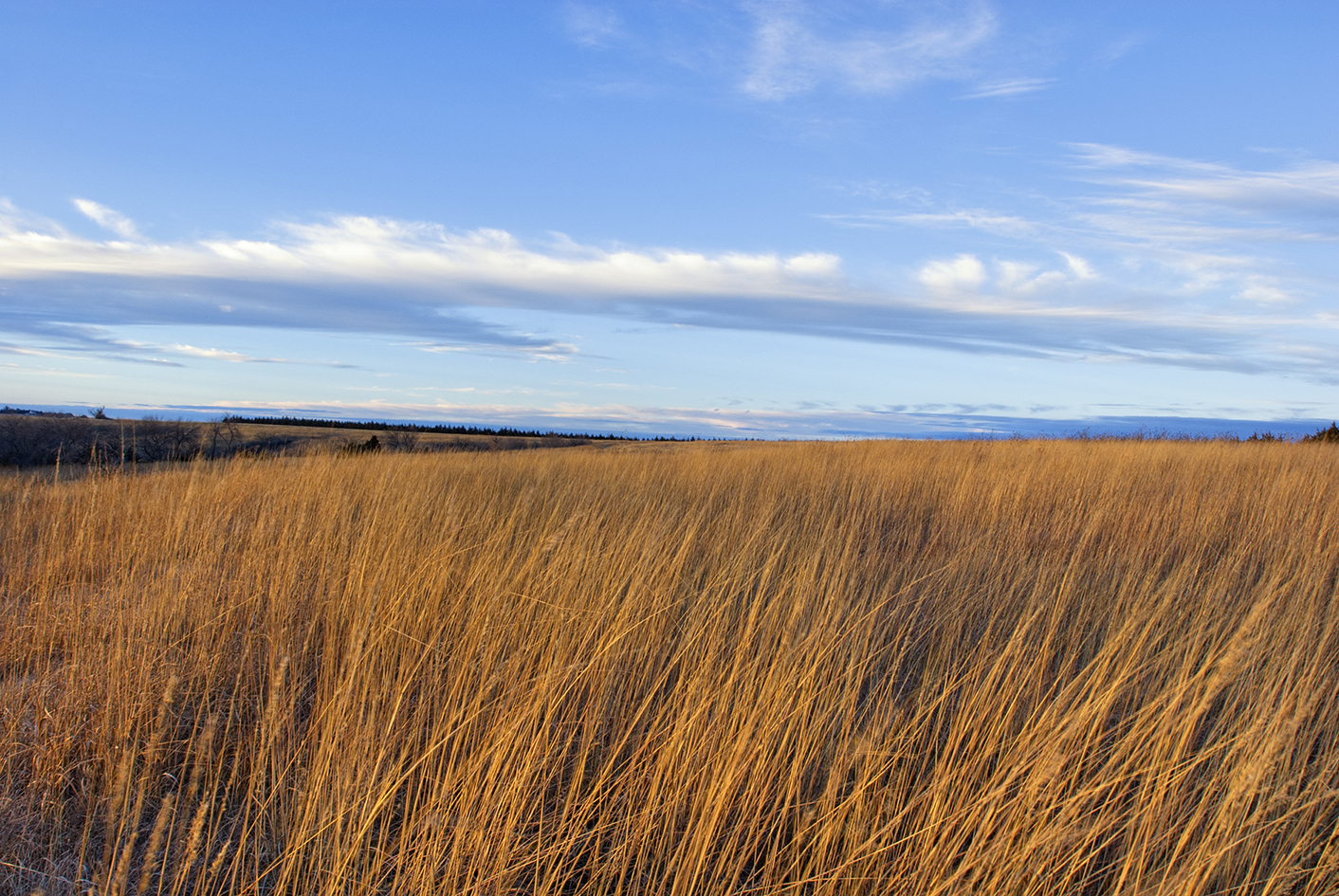 Prairie Tides