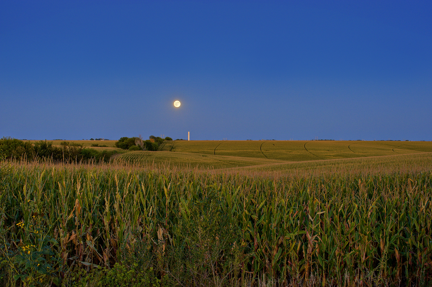 Prairie Towers