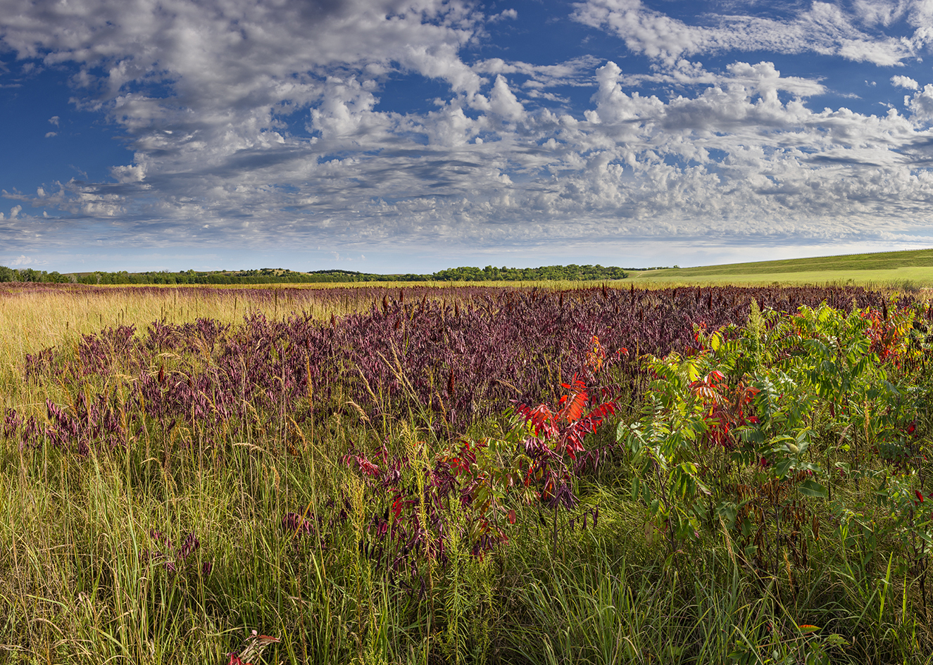 Prelude to Autumn II