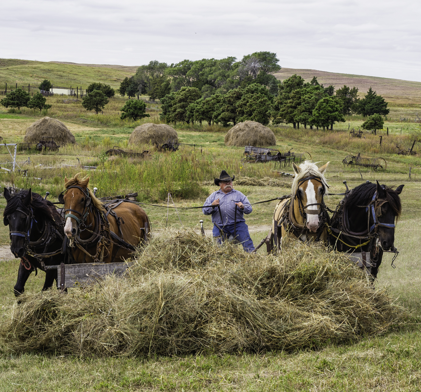 Pushin Hay