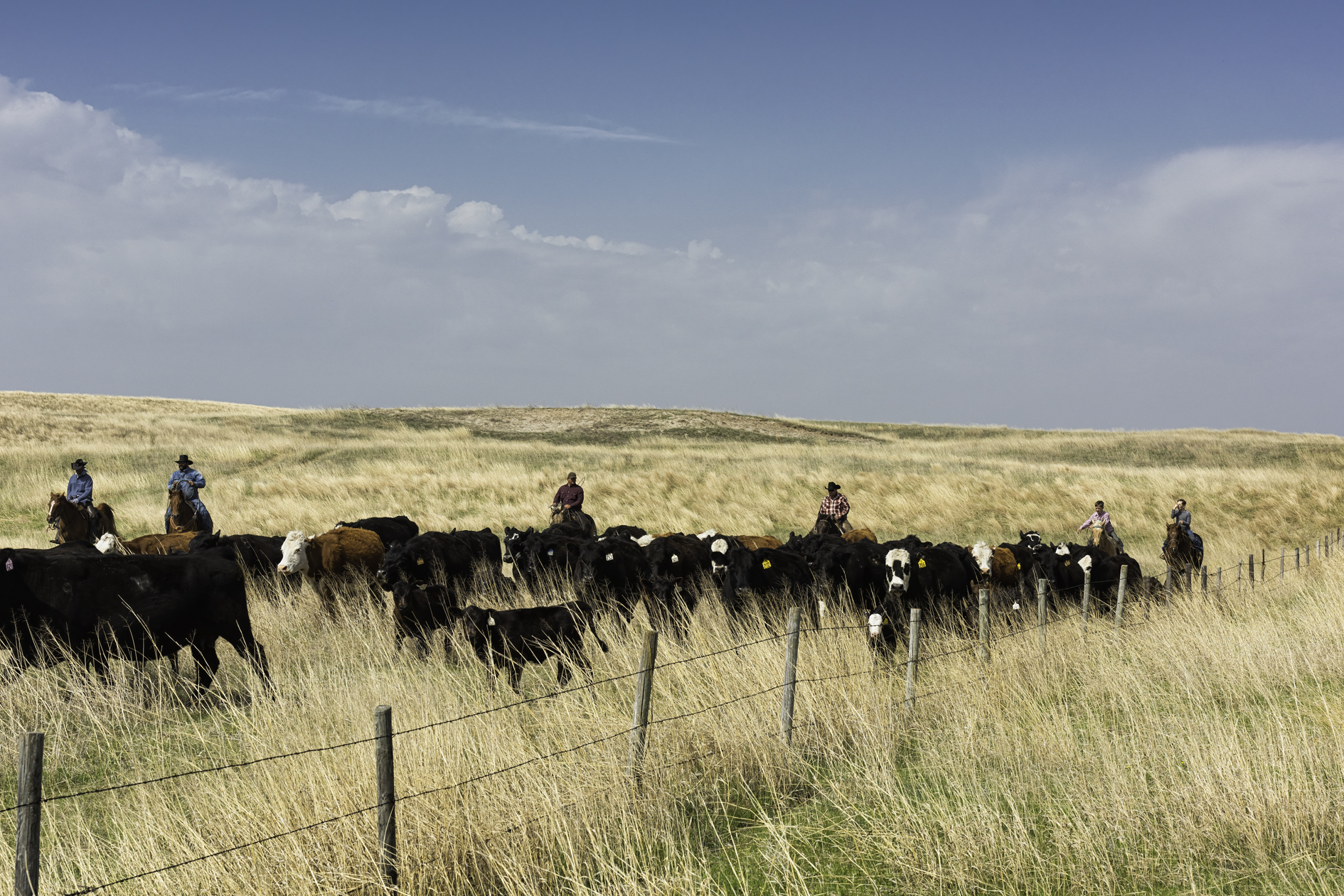 Pushing Down the Fenceline