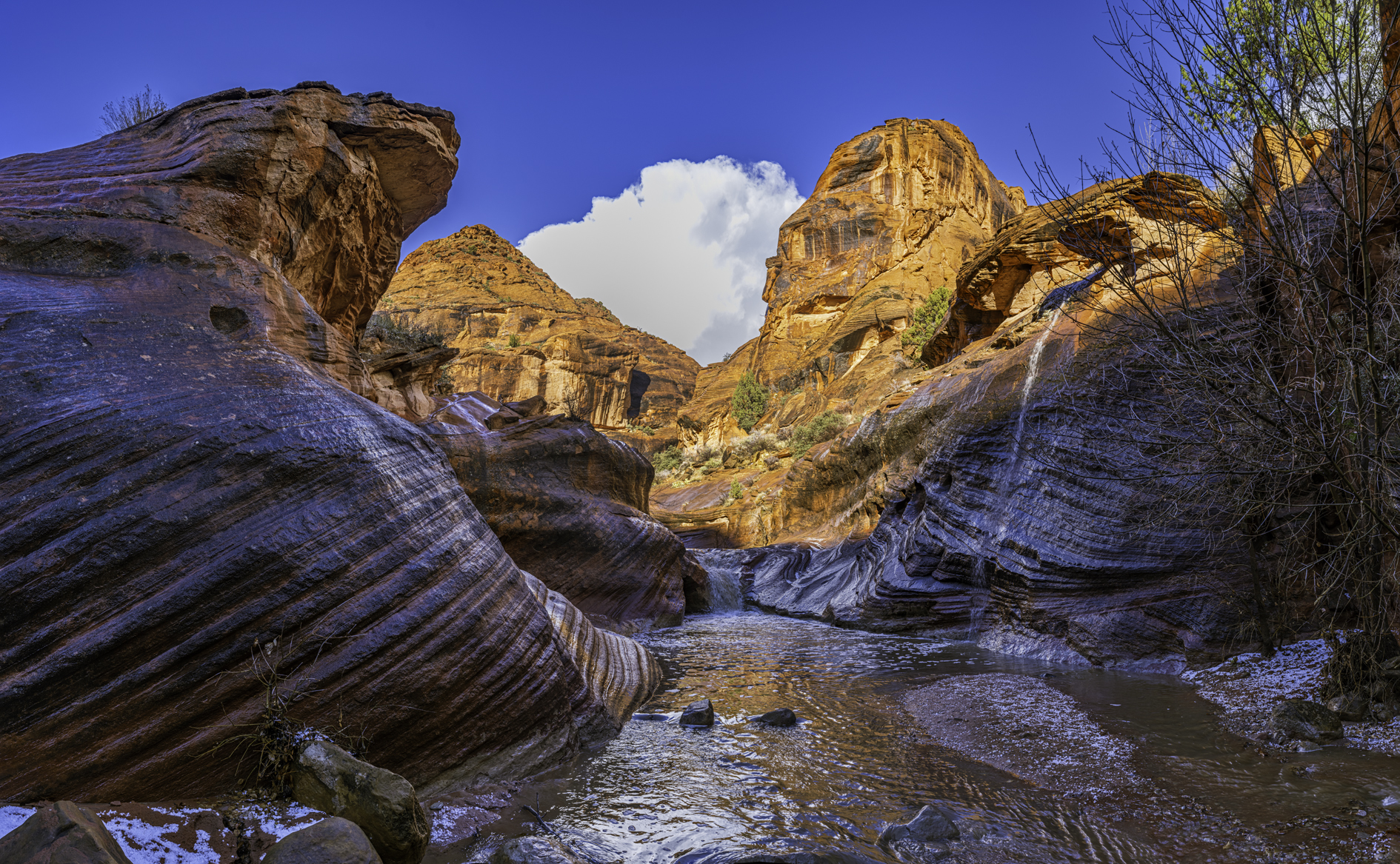 Quail Creek Afternoon