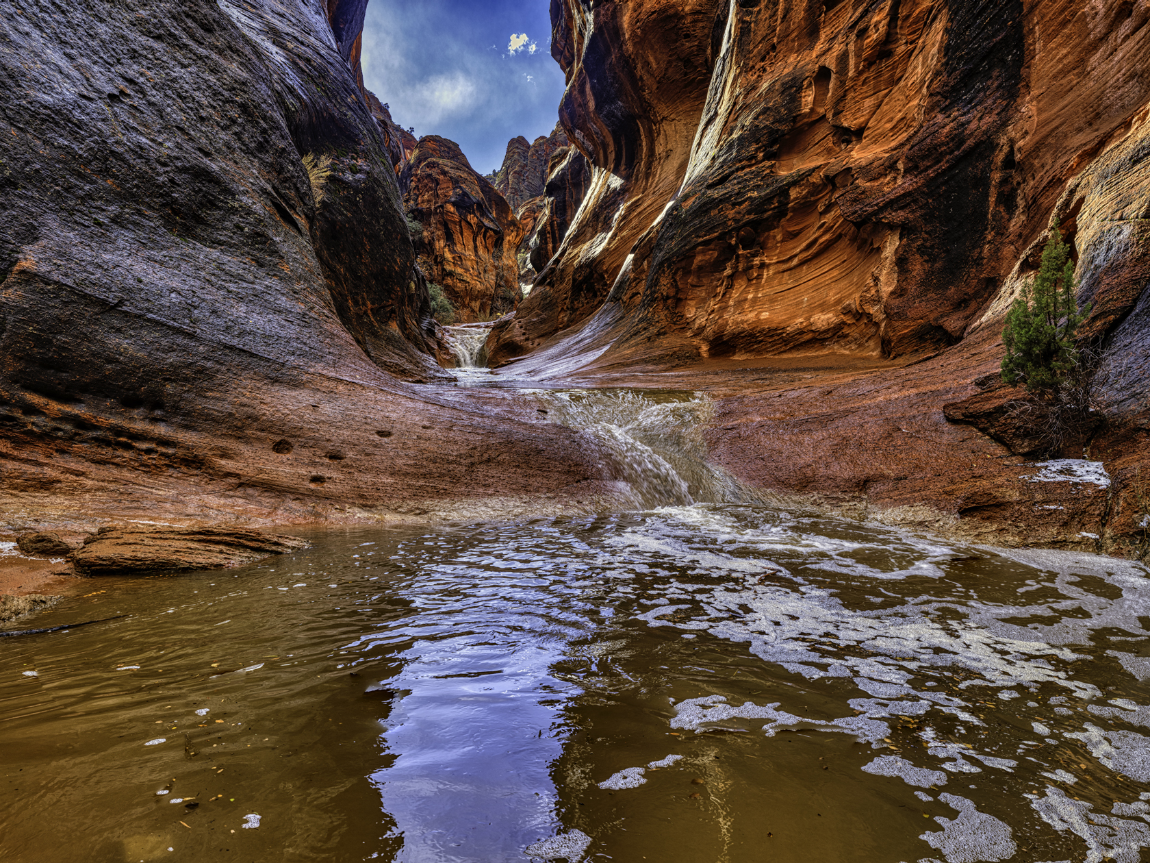 Quail Creek Afternoon II