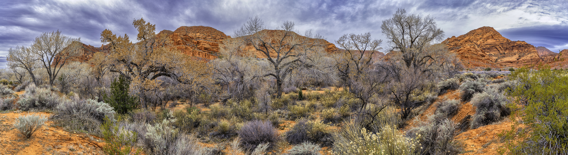 Quail Creek Afternoon IV