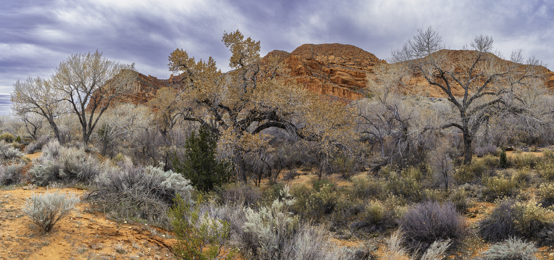 Quail Creek Afternoon V