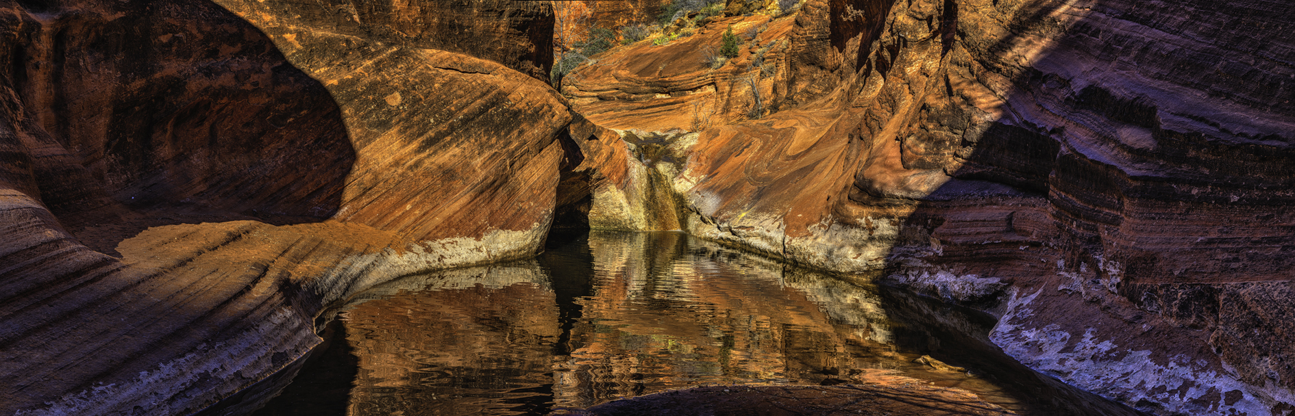 Quail Creek Reflections II