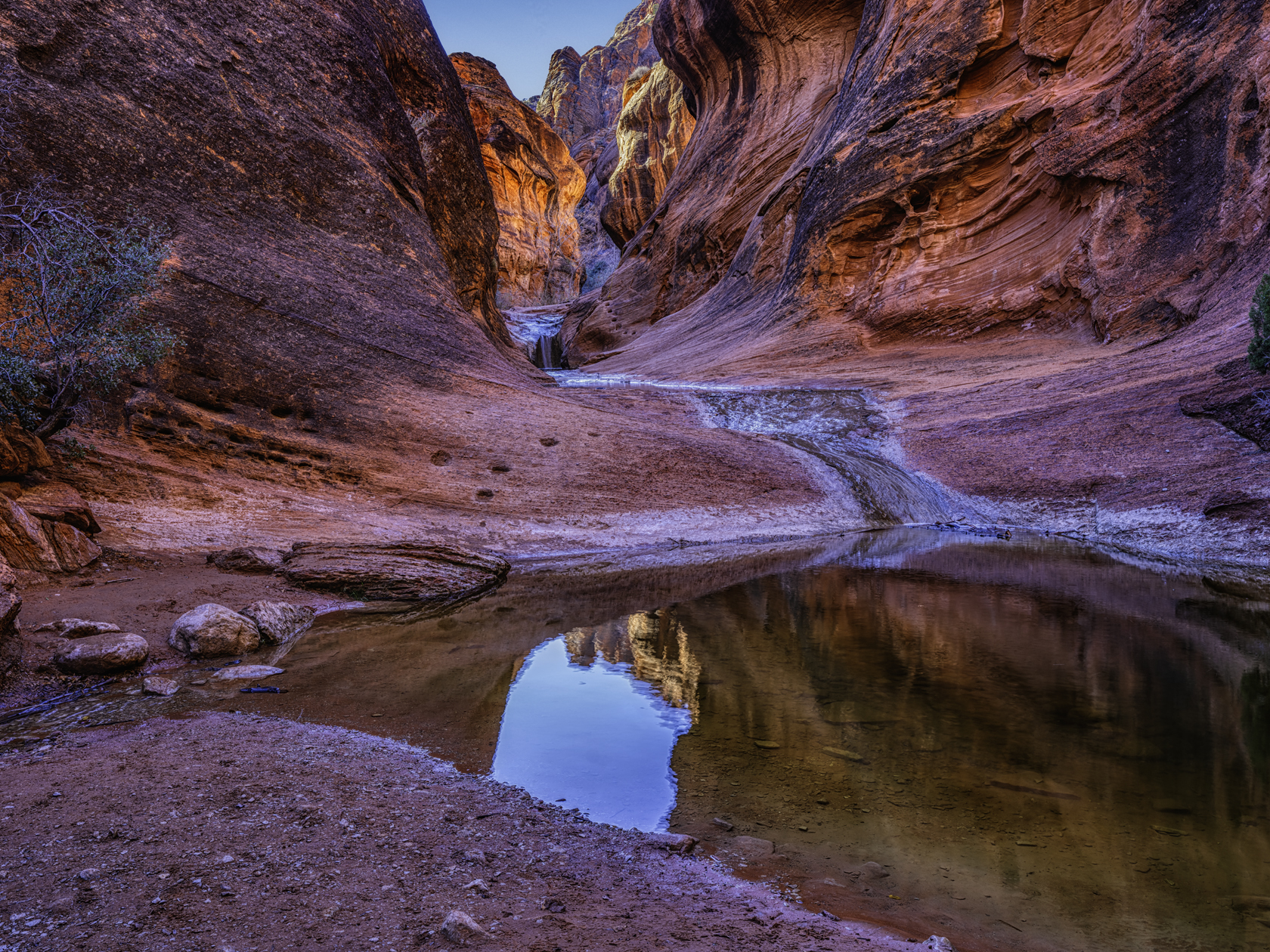 Quail Creek Reflections III