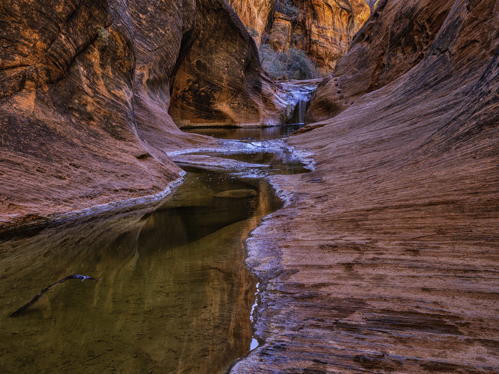 Quail Creek Reflections Iv