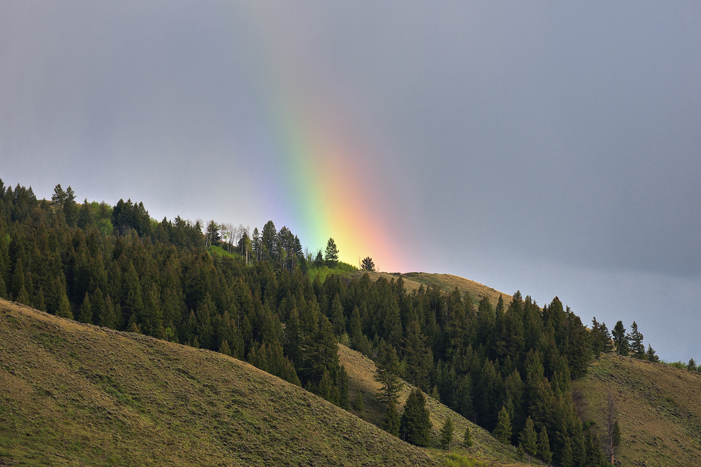 Rainbow on the Hill