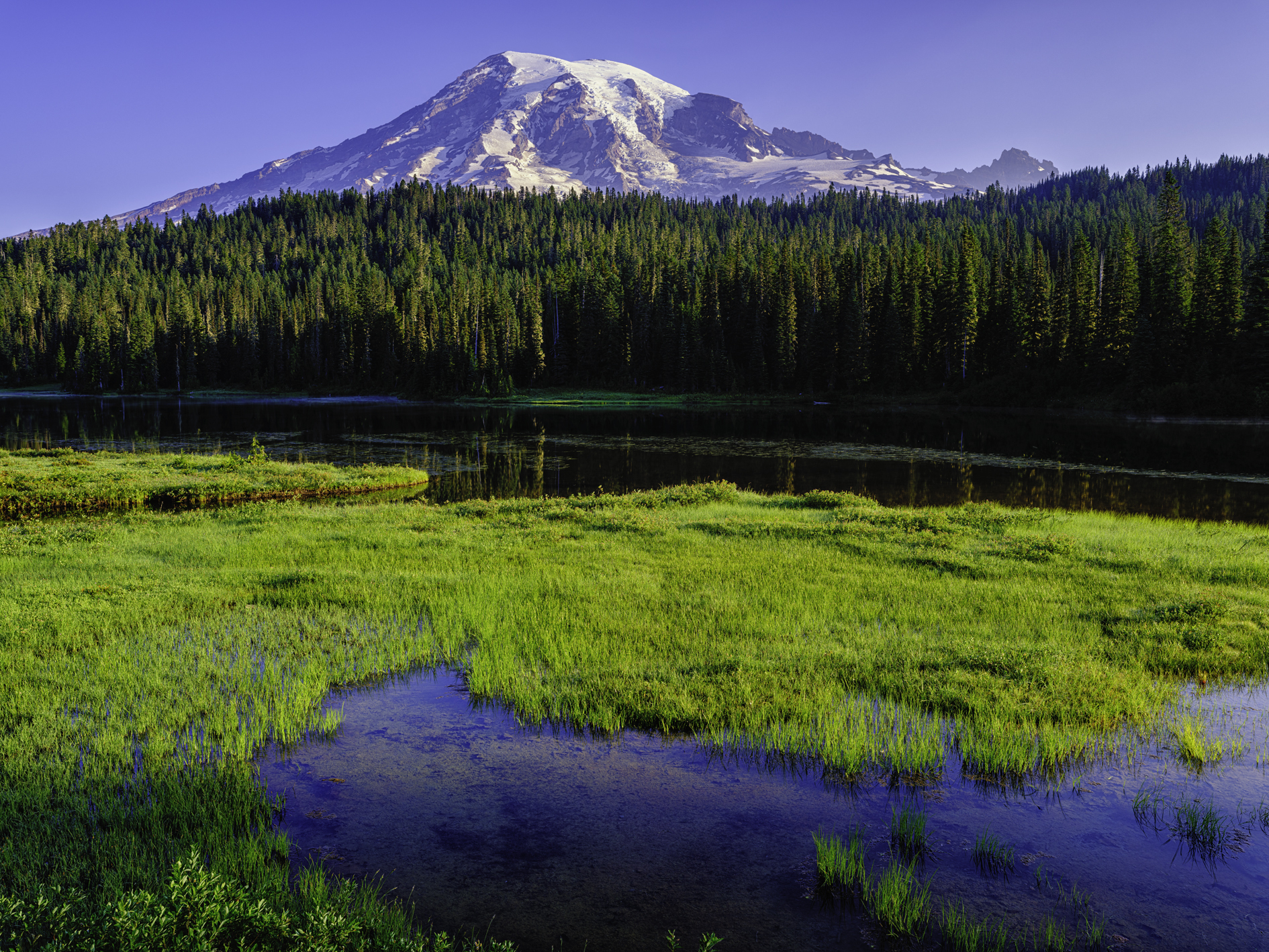 Rainier Morning