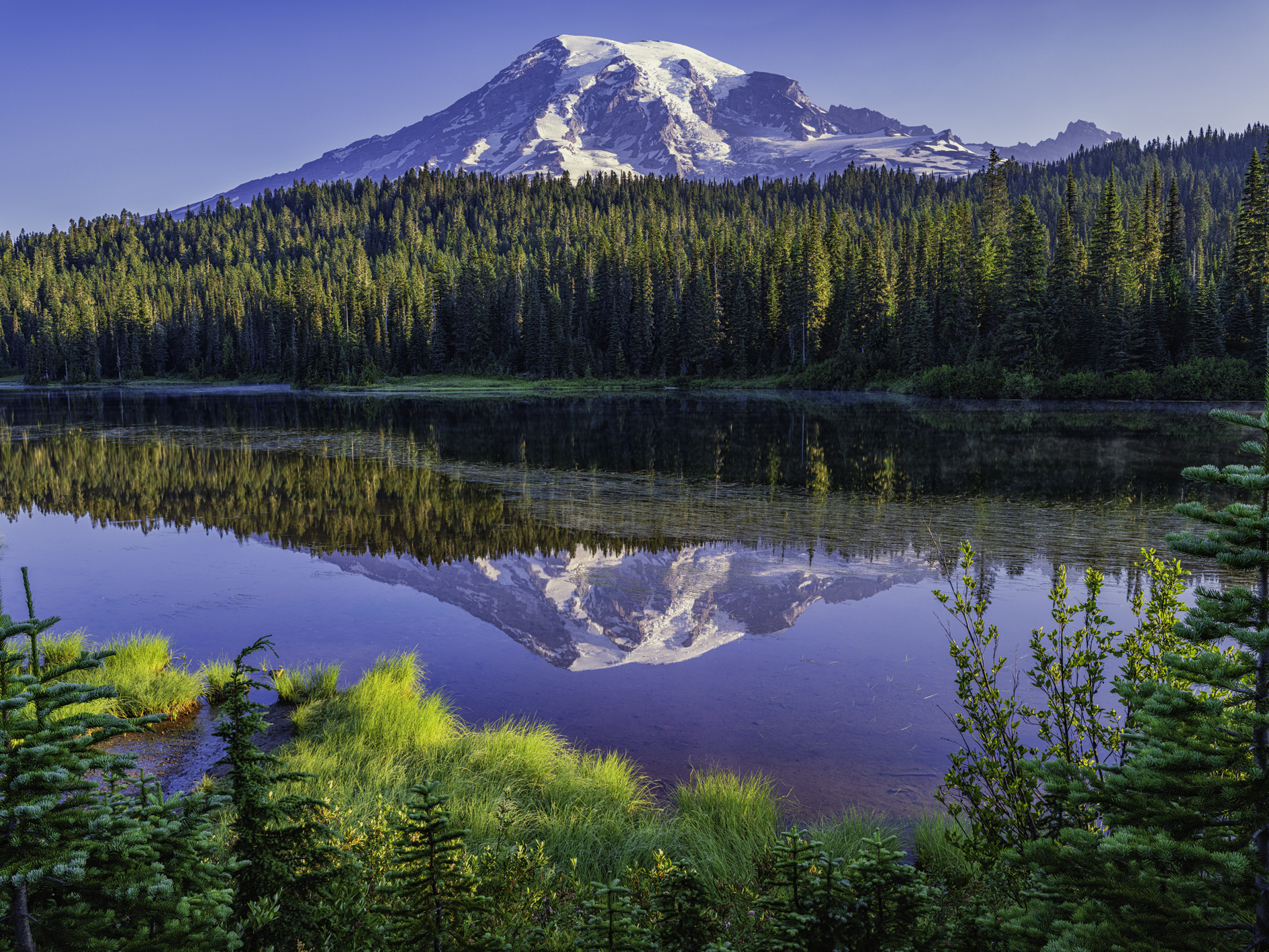 Rainier Reflections