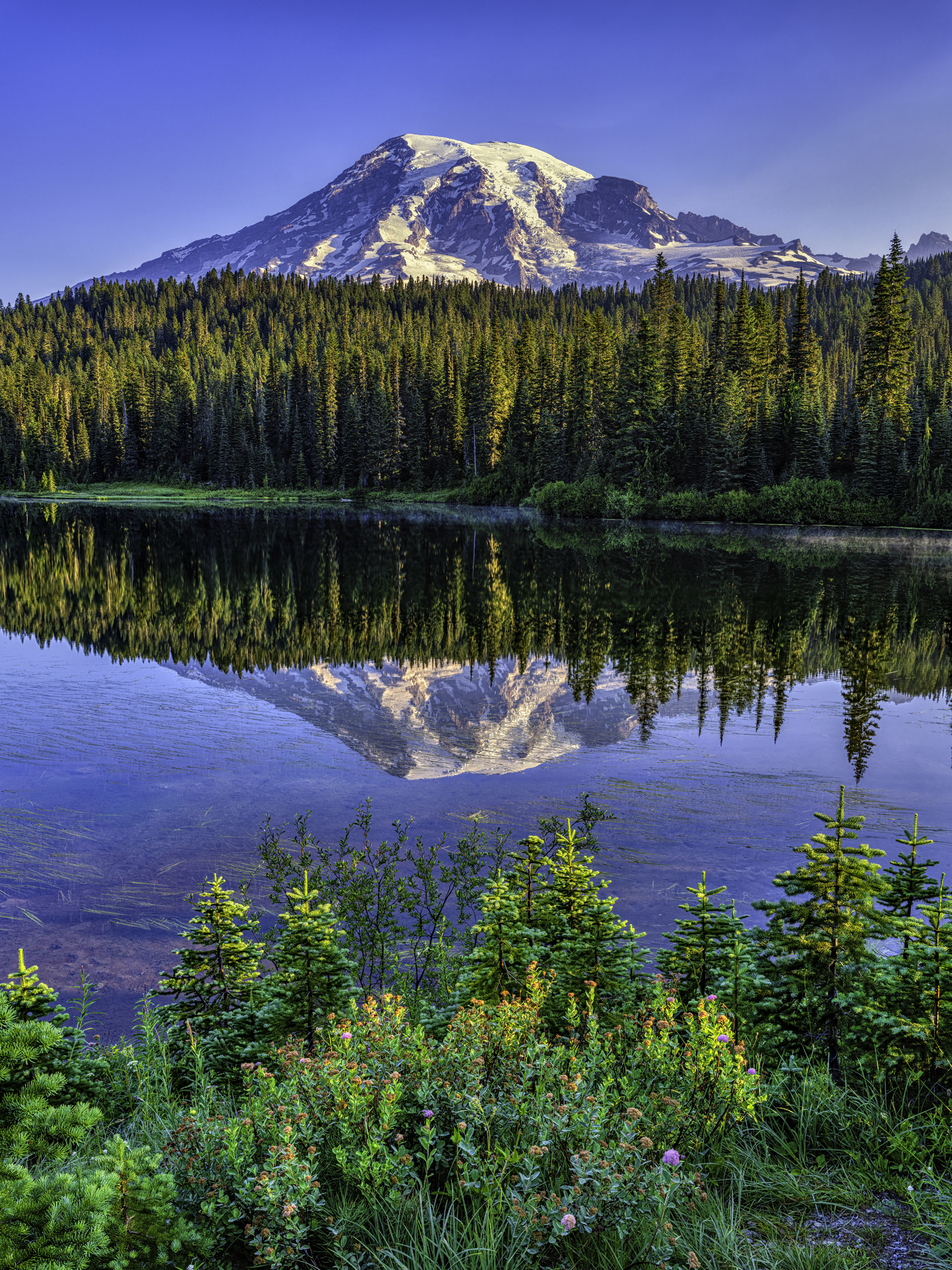 Rainier Reflections III