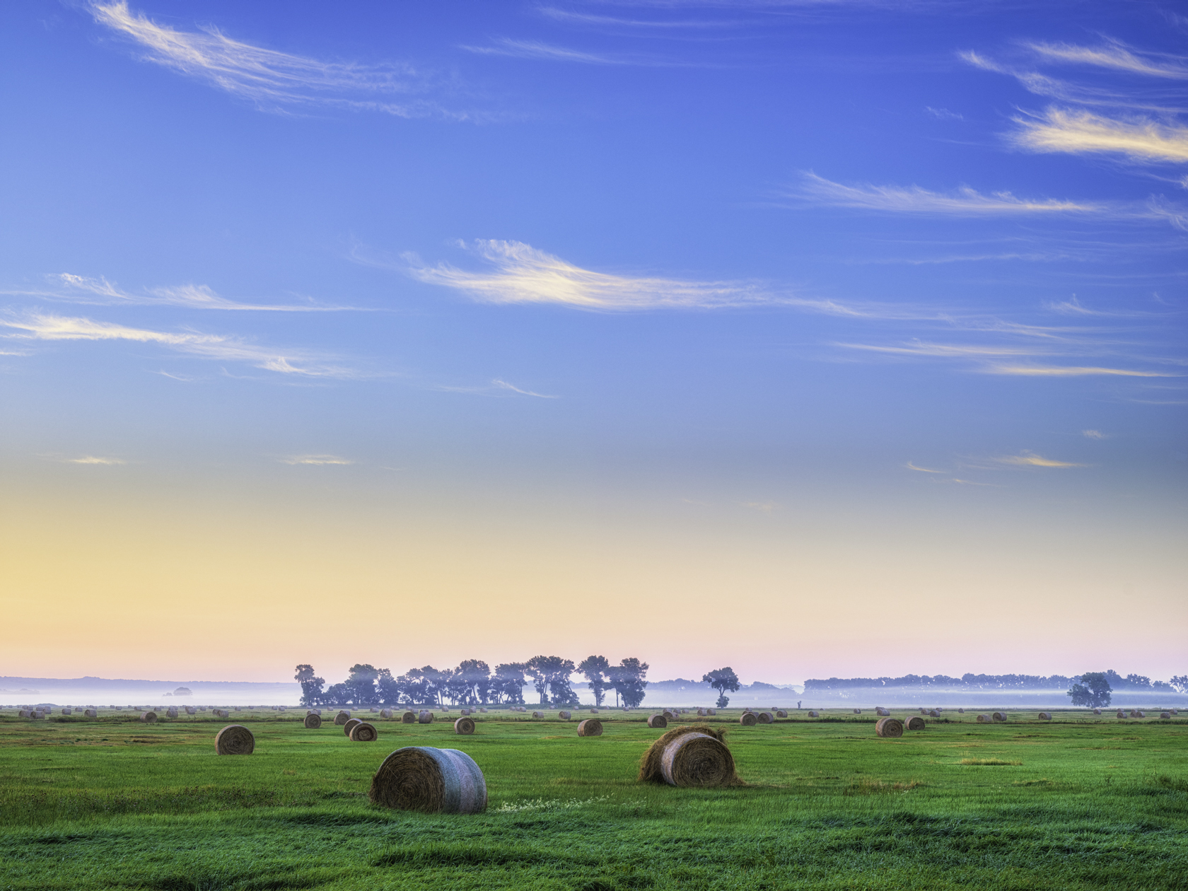 Ranchland Morning