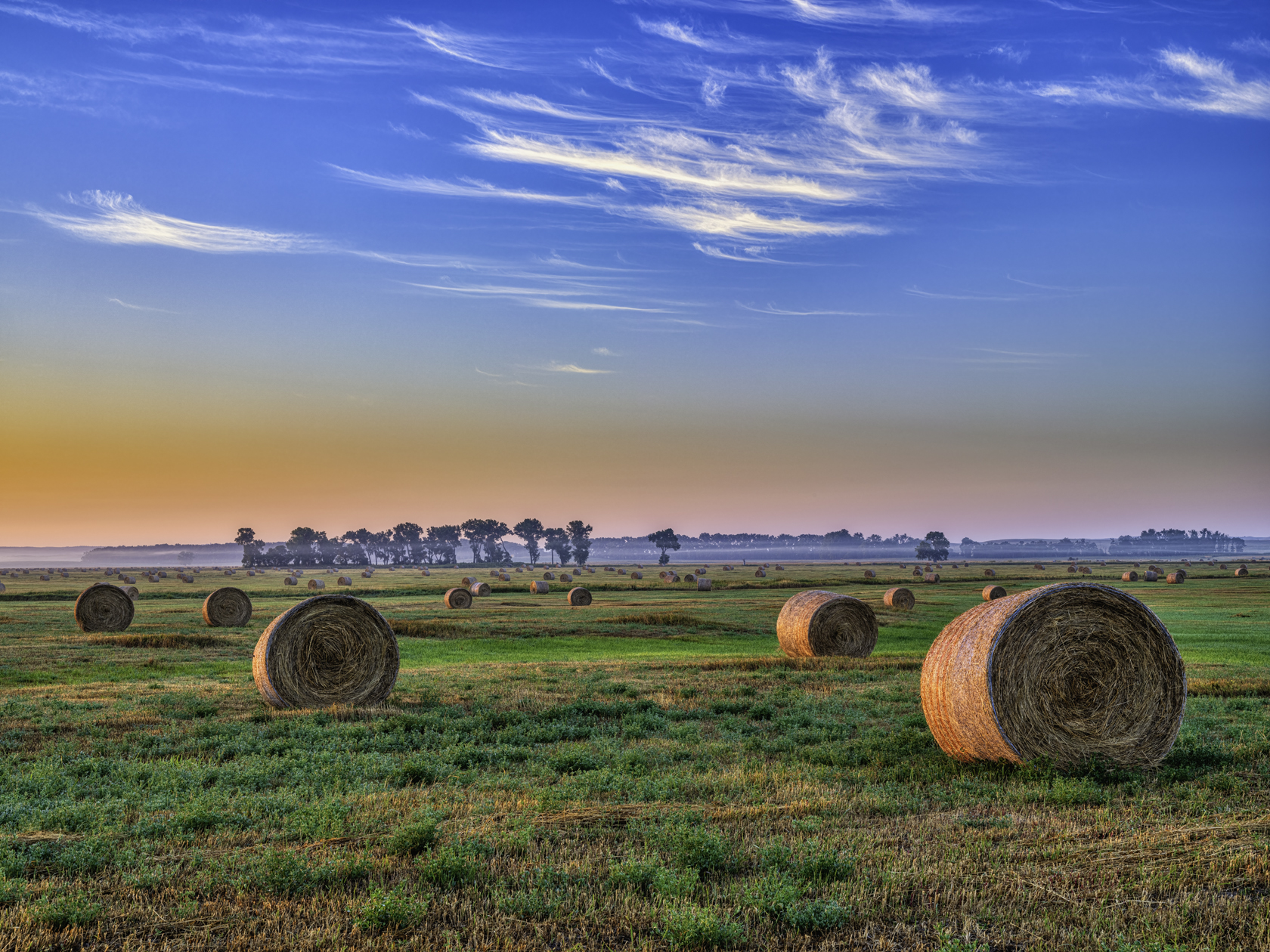 Ranchland Morning II