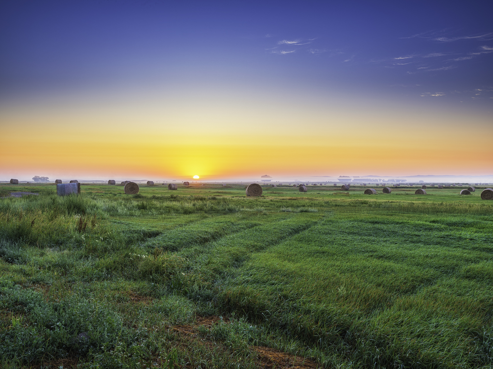 Ranchland Morning IV