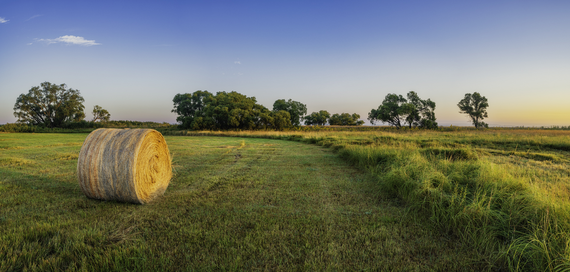 Ranchland Morning VI